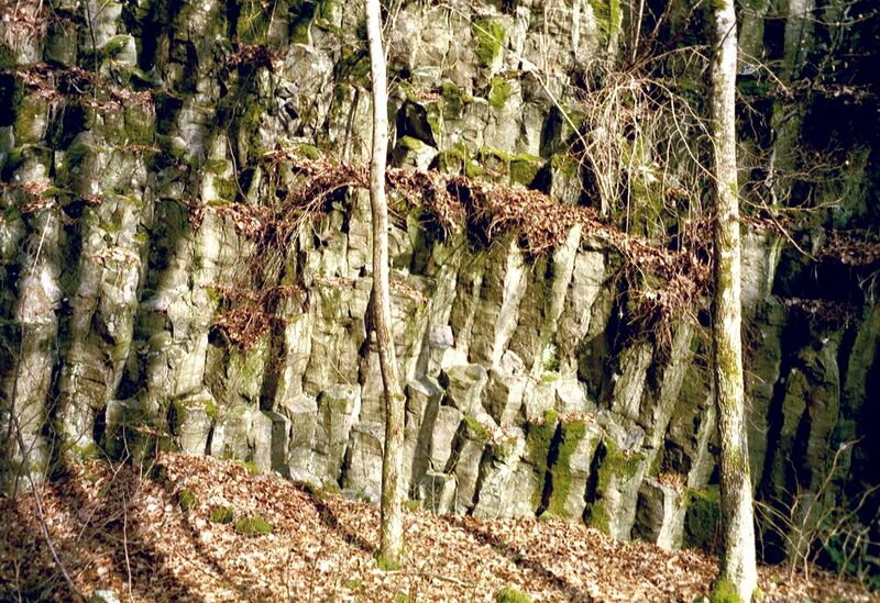 Basaltsäulen in der Wolfsschlucht (MMM-2007 / M. Koziol) Image