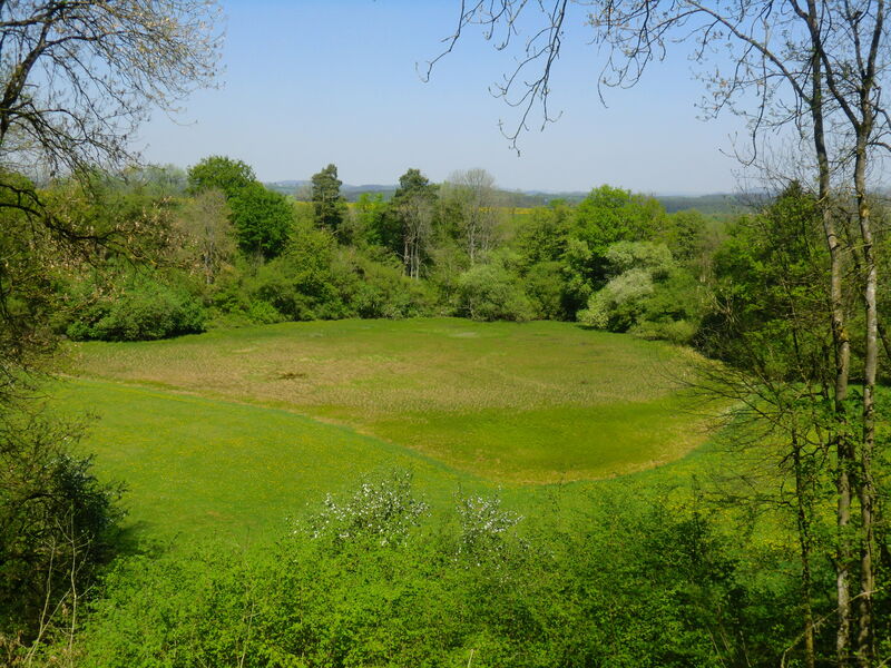 Zwischenmoor im Hinkelsmaar (MMM-2011 / M. Koziol) Image