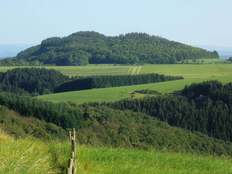 Mosenberg-Reihenvulkangruppe ( MMM-2012 / M. Koziol) Image