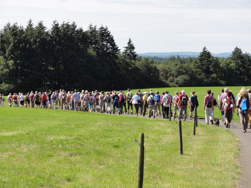 Wanderung 2011